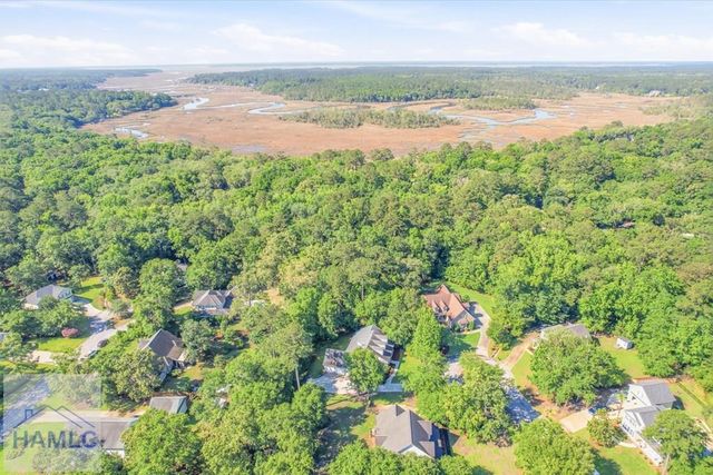 37 Macbeth Court, Richmond Hill, GA 31324