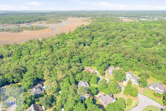 37 Macbeth Court, Richmond Hill, GA 31324