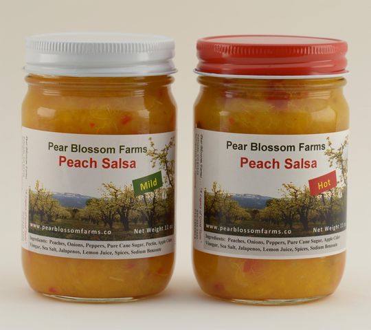 3376 C Road, Palisade, CO 81526