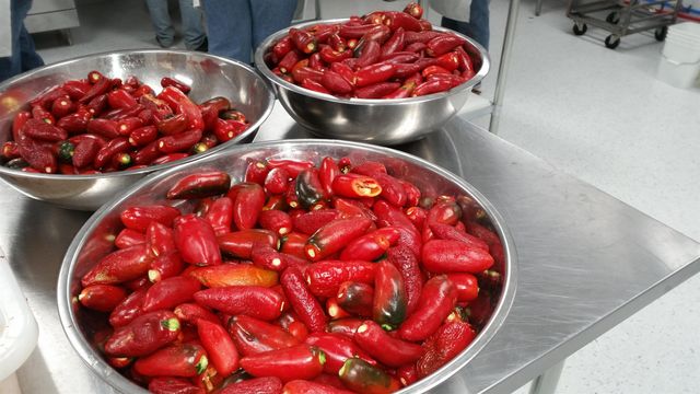 3376 C Road, Palisade, CO 81526