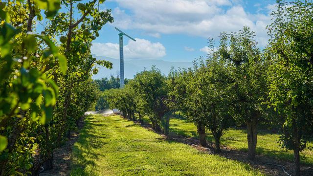 3376 C Road, Palisade, CO 81526