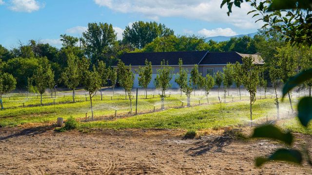 3376 C Road, Palisade, CO 81526