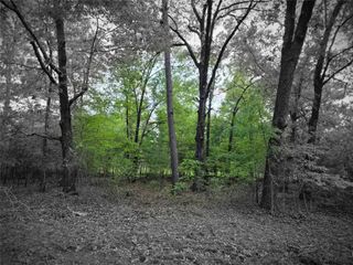 TBD Lot 25 Bending Oaks Lane, Livingston, TX 77351