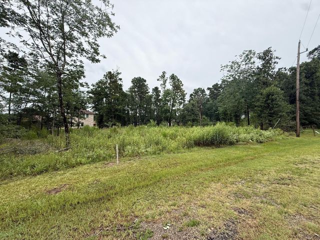 74 Forest Hollow,, Trinity, TX 75862