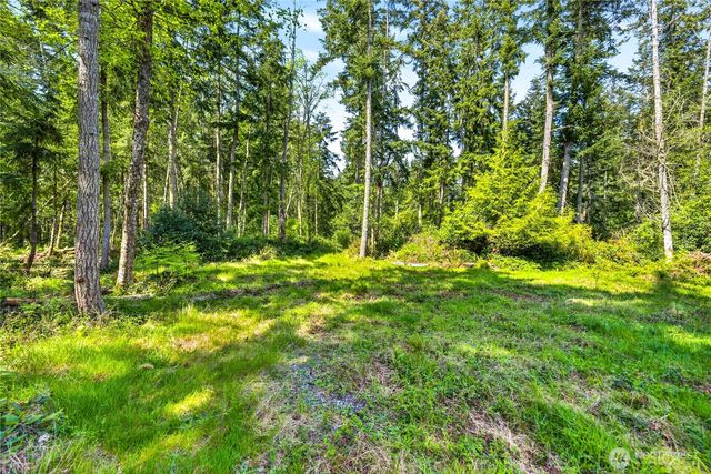 0 Evergreen Lane, Freeland, WA 98249