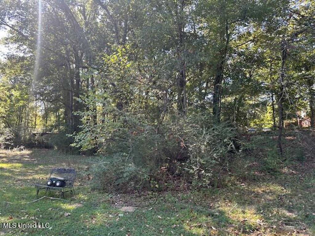 6748 Cockrum Road, Olive Branch, MS 38654 — photo 4
