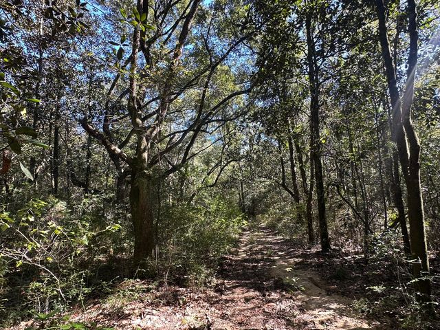 191.95 Ac US Highway 90 Highway, Crestview, FL 32539