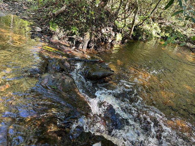 191.95 Ac US Highway 90 Highway, Crestview, FL 32539