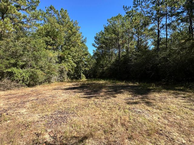 191.95 Ac US Highway 90 Highway, Crestview, FL 32539