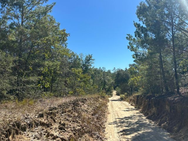 191.95 Ac US Highway 90 Highway, Crestview, FL 32539