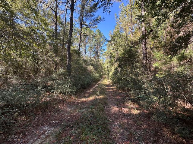 191.95 Ac US Highway 90 Highway, Crestview, FL 32539