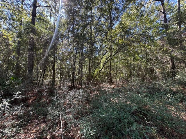 191.95 Ac US Highway 90 Highway, Crestview, FL 32539