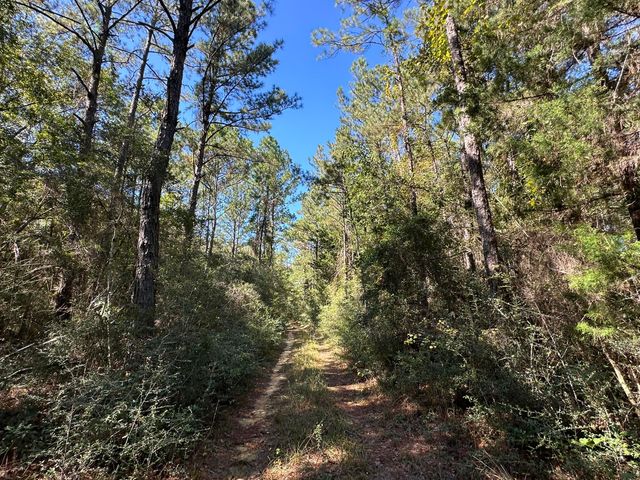 191.95 Ac US Highway 90 Highway, Crestview, FL 32539