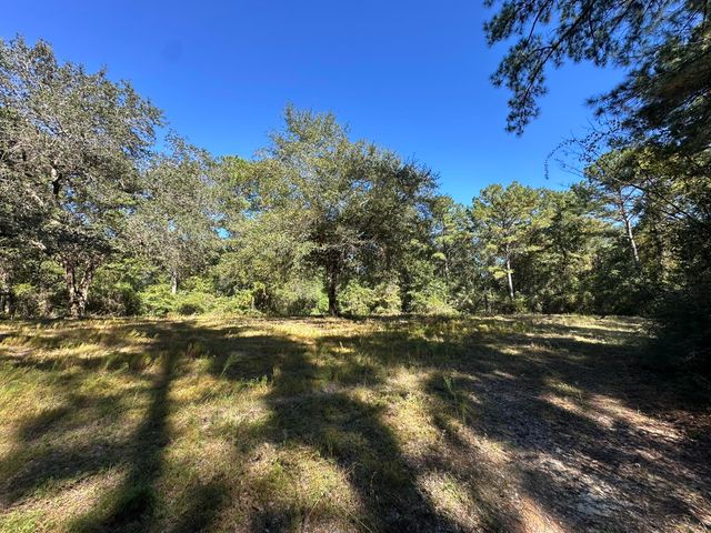 191.95 Ac US Highway 90 Highway, Crestview, FL 32539