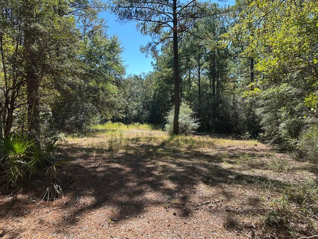 191.95 Ac US Highway 90 Highway, Crestview, FL 32539