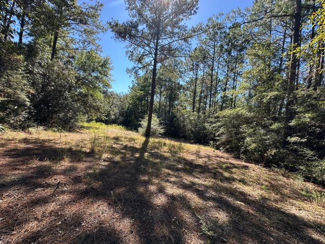 191.95 Ac US Highway 90 Highway, Crestview, FL 32539