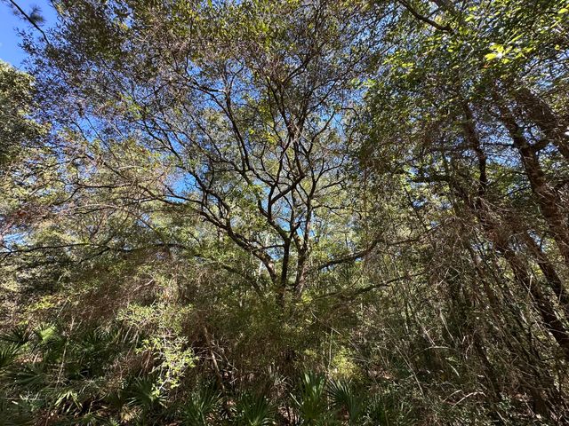 191.95 Ac US Highway 90 Highway, Crestview, FL 32539