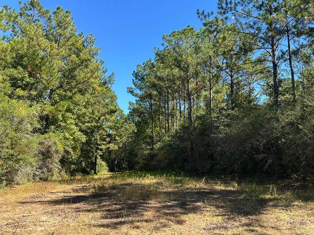 191.95 Ac US Highway 90 Highway, Crestview, FL 32539