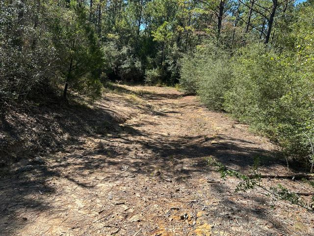 191.95 Ac US Highway 90 Highway, Crestview, FL 32539