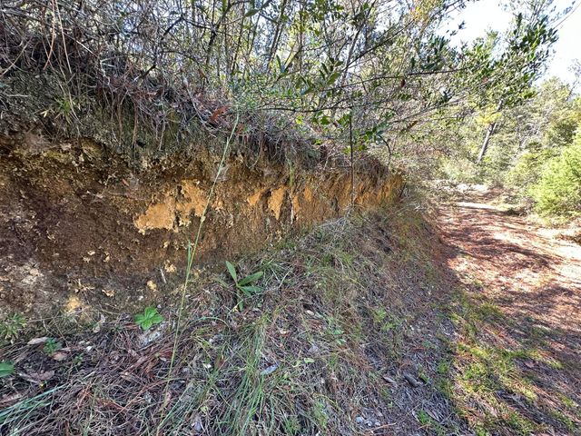 191.95 Ac US Highway 90 Highway, Crestview, FL 32539