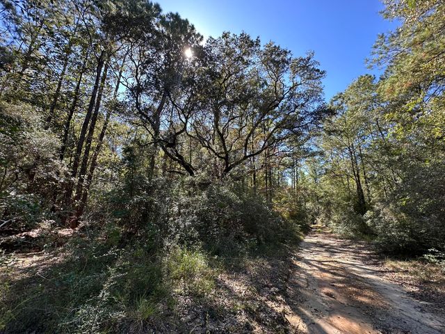 191.95 Ac US Highway 90 Highway, Crestview, FL 32539