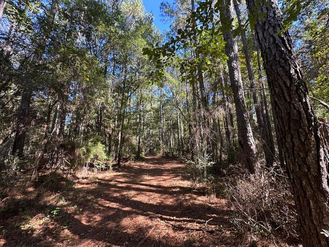 191.95 Ac US Highway 90 Highway, Crestview, FL 32539