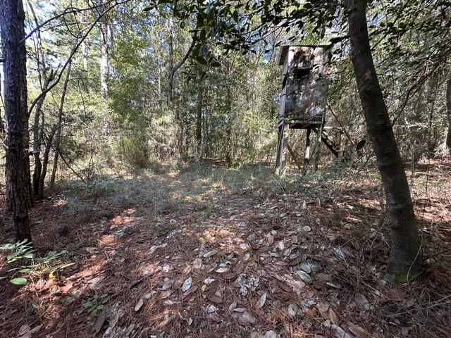 191.95 Ac US Highway 90 Highway, Crestview, FL 32539