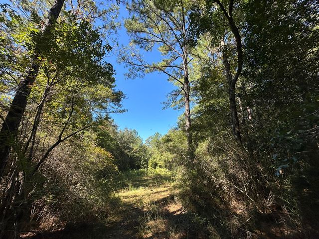 191.95 Ac US Highway 90 Highway, Crestview, FL 32539