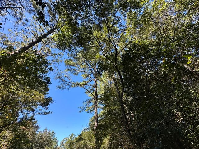 191.95 Ac US Highway 90 Highway, Crestview, FL 32539