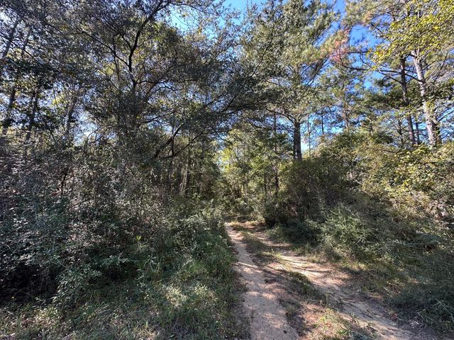 191.95 Ac US Highway 90 Highway, Crestview, FL 32539