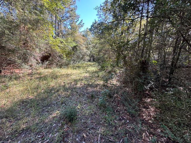 191.95 Ac US Highway 90 Highway, Crestview, FL 32539