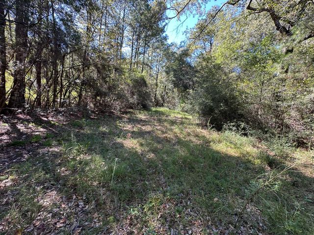 191.95 Ac US Highway 90 Highway, Crestview, FL 32539