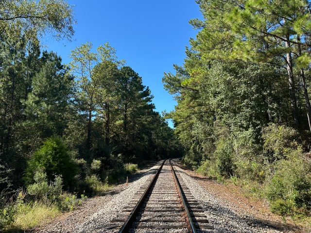 191.95 Ac US Highway 90 Highway, Crestview, FL 32539