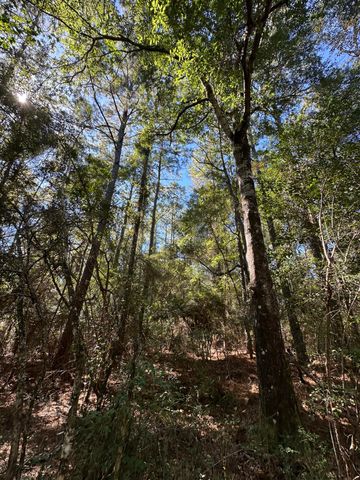 191.95 Ac US Highway 90 Highway, Crestview, FL 32539