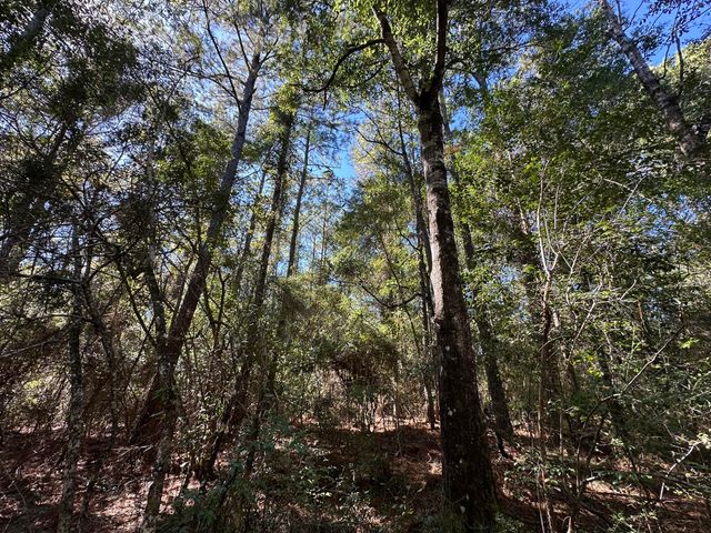 191.95 Ac US Highway 90 Highway, Crestview, FL 32539