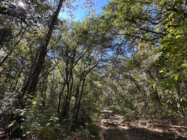 191.95 Ac US Highway 90 Highway, Crestview, FL 32539