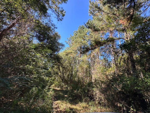 191.95 Ac US Highway 90 Highway, Crestview, FL 32539