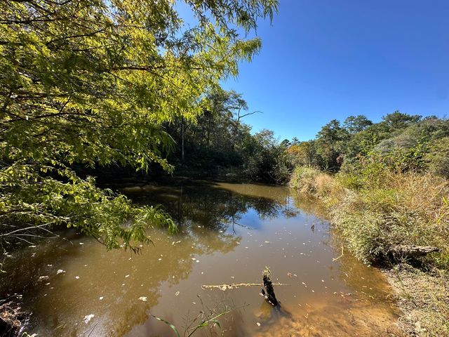 191.95 Ac US Highway 90 Highway, Crestview, FL 32539