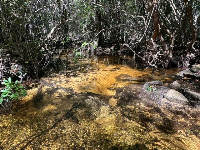 191.95 Ac US Highway 90 Highway, Crestview, FL 32539