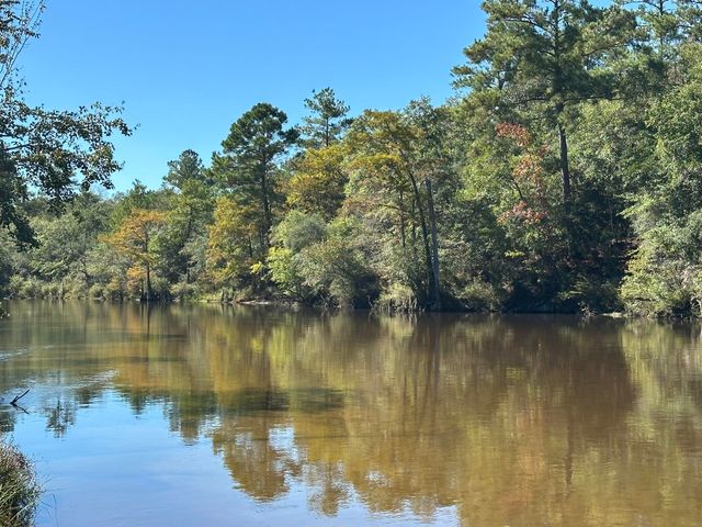 191.95 Ac US Highway 90 Highway, Crestview, FL 32539