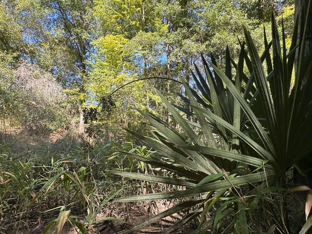 191.95 Ac US Highway 90 Highway, Crestview, FL 32539