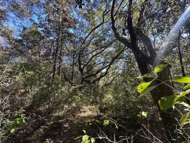 191.95 Ac US Highway 90 Highway, Crestview, FL 32539