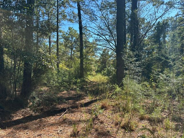 191.95 Ac US Highway 90 Highway, Crestview, FL 32539