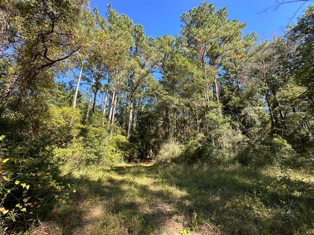 191.95 Ac US Highway 90 Highway, Crestview, FL 32539