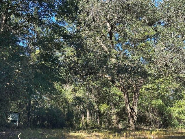 191.95 Ac US Highway 90 Highway, Crestview, FL 32539