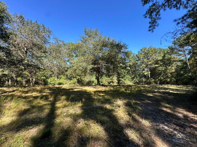 191.95 Ac US Highway 90 Highway, Crestview, FL 32539