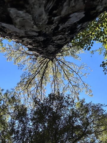 191.95 Ac US Highway 90 Highway, Crestview, FL 32539