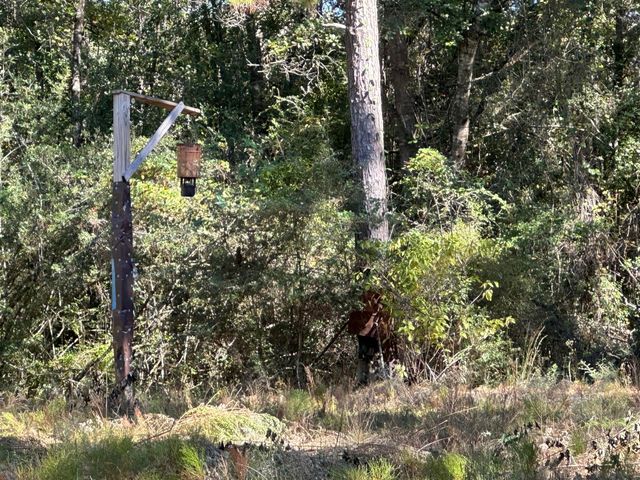 191.95 Ac US Highway 90 Highway, Crestview, FL 32539