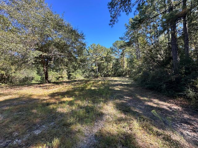 191.95 Ac US Highway 90 Highway, Crestview, FL 32539