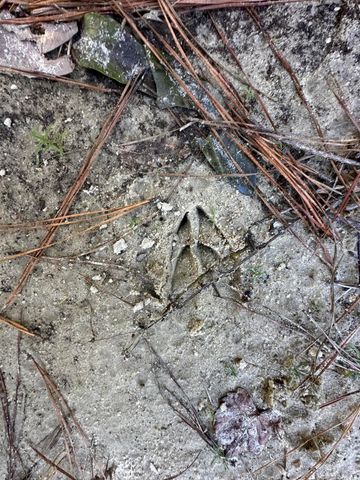 191.95 Ac US Highway 90 Highway, Crestview, FL 32539